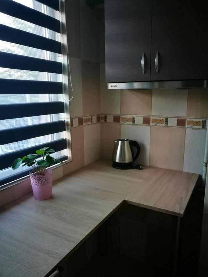 Iasi Jacuzzi Apartment H Extérieur photo